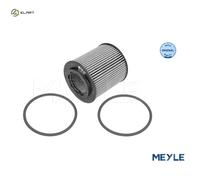 OIL FILTER 614 322 0011 FOR CADILLAC SUZUKI SX4/CLASSIC/MONOCAB ALFA ROMEO