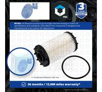 Oil Filter fits VW TOUAREG CR7 3.0 2018 on DCBE Blue Print 06M115561H 06M198405F
