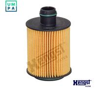 Oil Filter E124H02D202 Hengst
