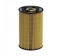 HENGST FILTER E134H D06 Oil filter