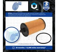 Blueprint ADG02170 Oil Filter Service Replacement Fits Chevrolet Opel Vauxhall