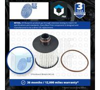 x1 Blue Print Oil filter with gasket ADL142111 OE 55261437 6000626025 Made in CN