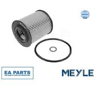 Oil Filter for BMW LAND ROVER OPEL MEYLE 300 114 2200
