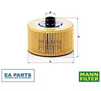 Oil Filter for DACIA DOKKER MPV DOKKER Pickup DUSTER MANN-FILTER HU 10 002 z