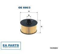 Oil Filter for RENAULT ARKANA AUSTRAL CAPTUR CLIO FILTRON OE 666/3