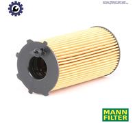 OIL FILTER H 1060 n FOR DAF MAN DKD/DKDL1160 11.6L 6cyl SBD 2146 HM 1 U 9.7L