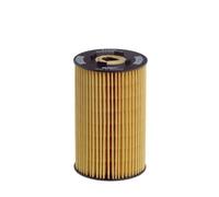 HENGST FILTER E134H D06 Oil filter