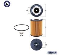 Oil Filter OX367D Mahle 11417508642 11427506677 11427506678 11427511161 76832802
