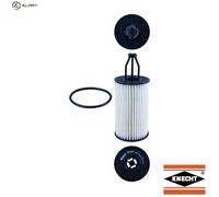 MAHLE Oil Filter Element - OX814D