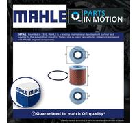 Oil Filter OX14D Mahle 3621200 77961394 7961394 7984373 K30052 77650559 Quality