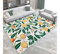 Oil On Canvas Style Area Rugs Fruit Citrus Machine Washable Area Rug Soft Fluffy Non-Slip Short Pile Carpet For Living Room Bedroom Dining Room Kitchen Office & Nursery,