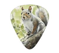 Oil Painting Gray Squirrel Guitar picks in thin, medium, and thick sizes, 12-piece set, suitable for electric guitar and various instruments