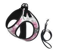 Oil Painting Paris Eiffel Tower Pet Leash Vest For Small Dogs Cats Reflective Adjustable Soft Outdoor Walking Hiking Training