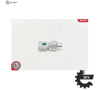 Esen SKF 95SKV200 Switch