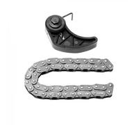 Oil pump chain set 559 0067 10 INA for AUDI VW SEAT SKODA