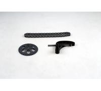 HEPU 21-0365 Oil pump chain kit