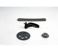 HEPU 21-0378 Chain Set, oil pump drive