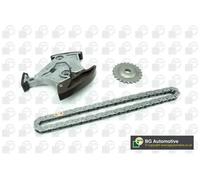 Oil Pump Drive Chain Kit Fits Audi Seat Skoda VW A1 A3 A4 A6 TT BGA TC0126FK