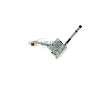 Oil pump V10-0494 VAICO for AUDI VW