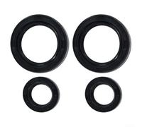 Oil Ring for 040AV 041AV Applications Designed to Maintain Seal Integrity Under Normal Operating Ranges (2 set)