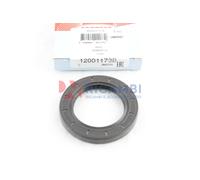 Oil Seal Diff. For Alpha 33 4X4 Landini Massey Fer Lamborghini 12001173B