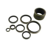 Oil Seal Replacement 110PCS Universal Rubber O-Ring Assortment Set Gasket Automotive Seal Fit For SAE Kit Crankshaft Seal