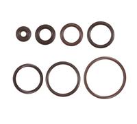 Oil Seal Uxcell 10Pcs Fluorine Rubber O-Rings OD ID 2mm Width FKM Seal Gasket Brown For Pressure Washer Filter Pump Water Hose Etc.(10x6x2mm)