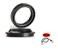 OIL SEALS FOR FORK 43 x 55 x 9.5/10.5 SPECIFIC 040ARI072 COMPATIBLE WITH TRIUMPH 599 DAYTONA 600 2003 ALL-BALLS SEAL RING