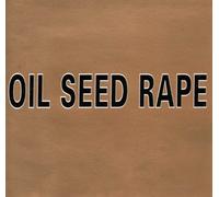 Oil Seed Rape - Six Steps to...