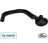 Oil Separator, crankcase ventilation for RENAULT CLIO KANGOO GATES EMH946