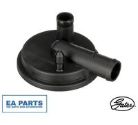 Oil Separator, crankcase ventilation for VW BORA CADDY GATES EMH199