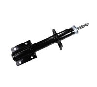 SHOCK ABSORBER FT11005 FOR PEUGEOT BOXER/Van/Bus/FURGON/Platform/Chassis FIAT