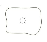 Oil sump gaske REINZ 10-10302-01 for SAME IRON 6.057 2007-2013