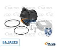 Oil Trap, crankcase breather for AUDI A4 A6 A8 ALLROAD C5 VAICO V10-4341