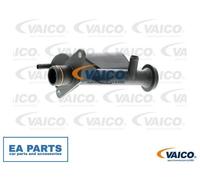 Oil Trap, crankcase breather for RENAULT CLIO ESPACE KANGOO VAICO V46-0844