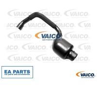 Oil Trap, crankcase breather for VW PASSAT B5.5 VAICO V10-4491