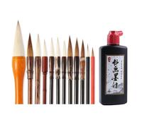 Oiqippnbv 12Pcs Chinese Calligraphy Brushes Set, 250 ML Calligraphy and Sumi Liquid Ink,Versatile Chinese Brush Ink