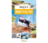 Oiseaux de Bretagne