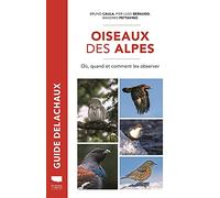 Oiseaux des Alpes: Où, quand, comment les observer