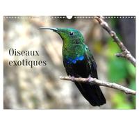Oiseaux exotiques (Calendrier mural 2026 DIN A3 vertical), CALVENDO calendrier mensuel: Oiseaux exotiques du monde entier