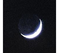 Oiseaux-Tempete & The Bunny Tylers - Tarab