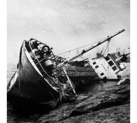 Oiseaux-Tempête - Utopiya?