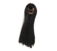 OJREEUB 1/6 Scale Woman Doll Hair Hair Wig for 12 inch Female Figures Accessories, Black Long Hair