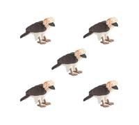 OJREEUB 5 set of Philippine Eagle Toy Figure Realistic Eagle Figurines for Cognitive Toy Kids