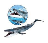 OJREEUB Lifelike Blue Whale Action Figures Sea Animal Creature Model Learning Toy