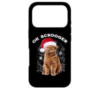 OK Scrooger Funny Cat Scrooge Christmas Boomer Humor Case for iPhone 17 Pro