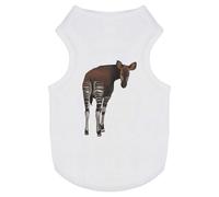'Okapi Looking Back' Pet Dog/Cat T-Shirt (PT00127450)