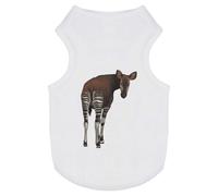 'Okapi Looking Back' Pet Dog/Cat T-Shirt (PT00127451)