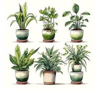 OkarinaArt Paint by Numbers for Adults Plant - Adult Paint by Numbers Kits for Beginner, Green Plant DIY Acrylic Oil Adult Painting by Number Canvas Kits, Perfect for Home Wall Decor 16X16 Inch