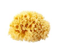 OkBaby Islands Sponge, Size 12